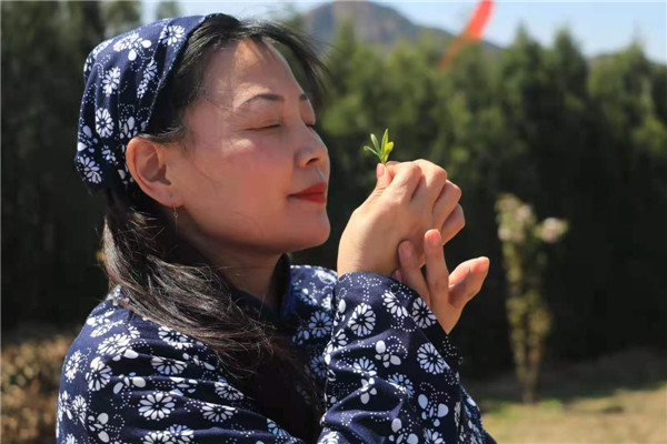 五蓮縣馬耳山茶暨第一屆文化節(jié)在大馬安村隆重開(kāi)幕