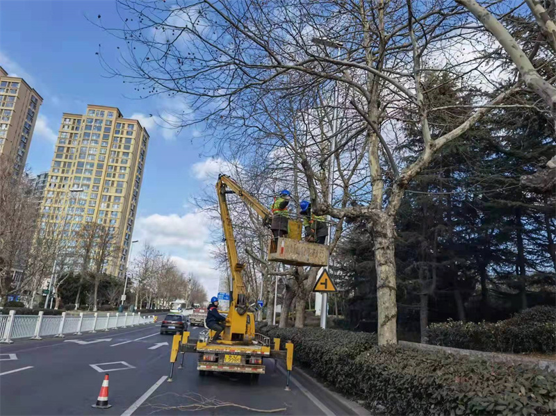 嶗山環(huán)衛(wèi)冬季園林養(yǎng)護(hù)正當(dāng)時