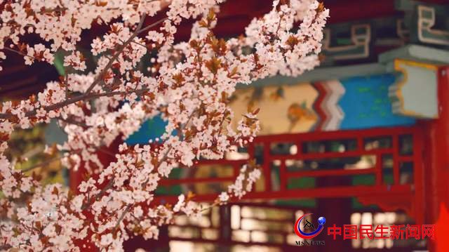 “凝聚精神的力量”恒星學(xué)院文化系列報(bào)道之一：成就他人 幸福你我