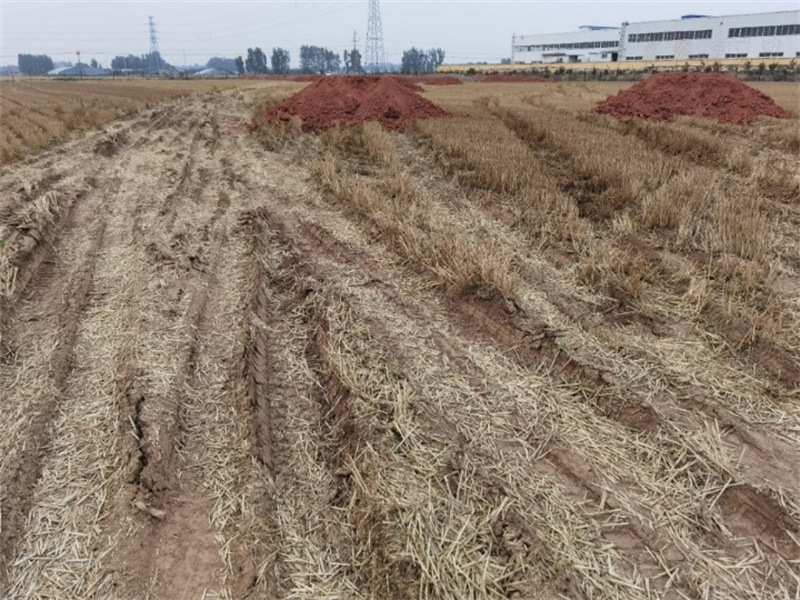 諸城市辛興鎮(zhèn)發(fā)展工業(yè)強(qiáng)行占耕地建廠，導(dǎo)致七八戶(hù)農(nóng)民無(wú)地可種