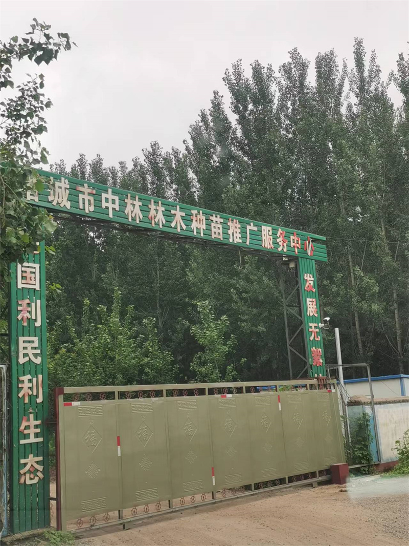 諸城市密州街道一苗圃內(nèi)暗藏非法采砂點 村委“掩護”意欲何為