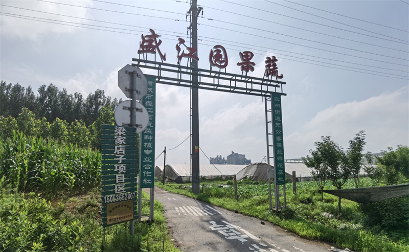 昌樂(lè)人在諸城市“密州街道”投資農(nóng)業(yè)疑被“套路” 大棚被淹揭出“神秘園區(qū)”