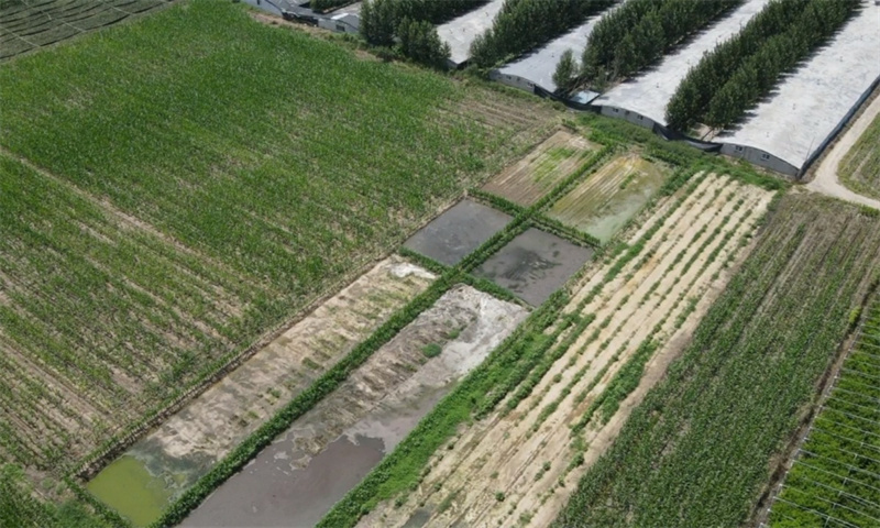 濰坊市昌樂縣五圖街道養(yǎng)鴨場污水直排農(nóng)田 污染環(huán)境浪費土地