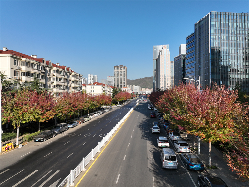 嶗山區(qū)全力推進園林精細化養(yǎng)護，讓市民更有景觀獲得感