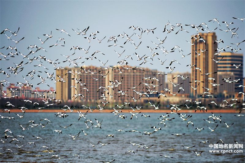 再添“國(guó)字號(hào)招牌”！青島市城陽(yáng)區(qū)獲評(píng)生態(tài)文明建設(shè)示范區(qū)