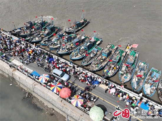 青島即墨：出海歸來魚滿倉 市民餐桌“鮮”起來